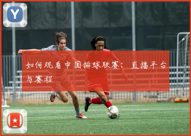 如何观看中国排球联赛:直播平台与赛程