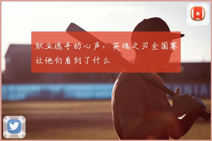 职业选手的心声，英魂之刃全国赛让他们看到了什么