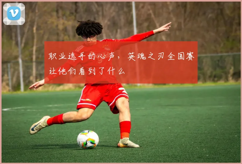 职业选手的心声，英魂之刃全国赛让他们看到了什么